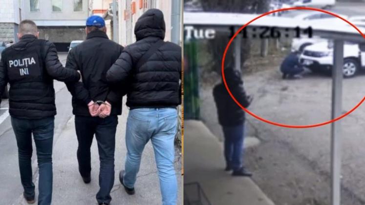 Ziua Internațională a Pădurilor (8)