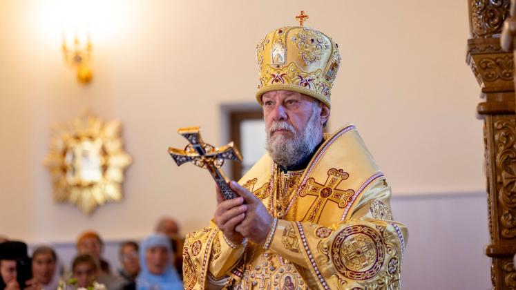 mitropolitul vladimir