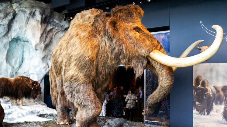 skynews-mammoth-wooly_6511826