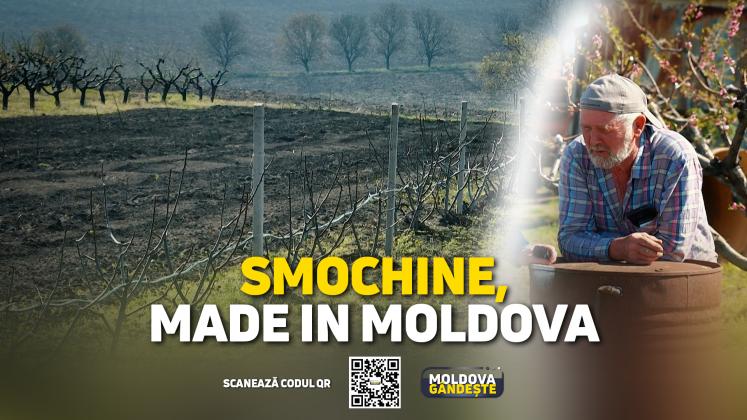 MOLDOVA GANDESTE - 13 04 2024 - COVER reportaj SMOCHINE CAUSENI