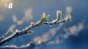 /METEO/ Vremea azi, 28 aprilie 2026: Înghețuri noaptea și dimineața. Care vor fi temperaturile