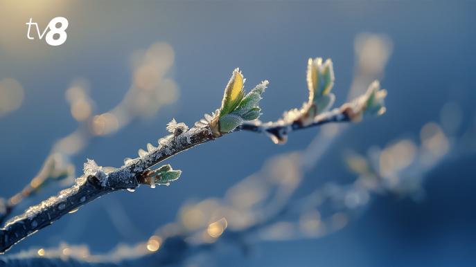 /HARTĂ/ Cod galben de îngheț în jumătate de Moldova: Când e valabil fenomenul