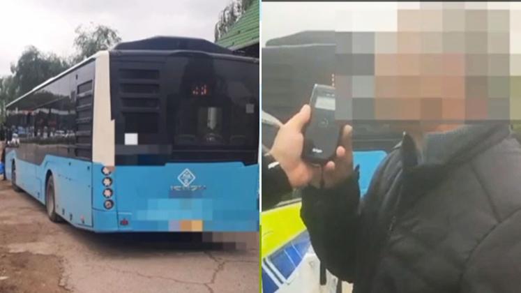 sofer autobuz