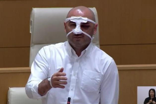 khabeishvili-parliament