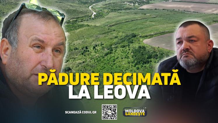 MOLDOVA GANDESTE - 18 05 2024 - COVER reportaj LEOVA PADURI