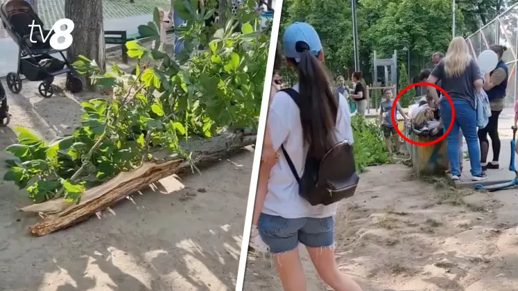 Valea Trandafirilor Creangă