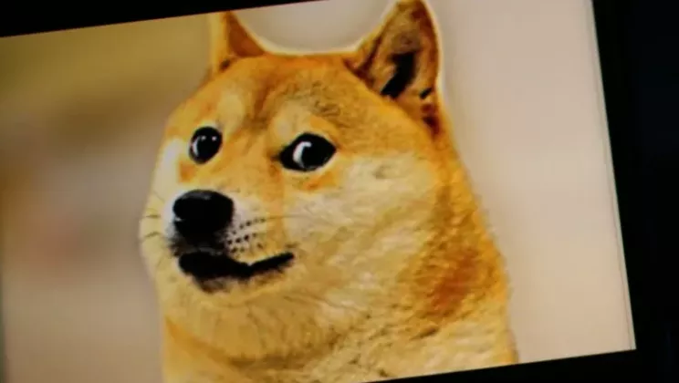 PTllYjQ0ZjYzZTExN2E1ZmEzZjhkZjc5MzRiZjJmMTM3.thumb