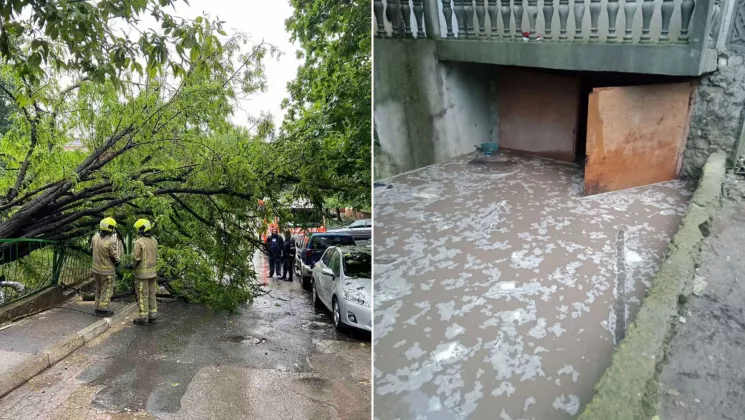 Oconsecinte ploi