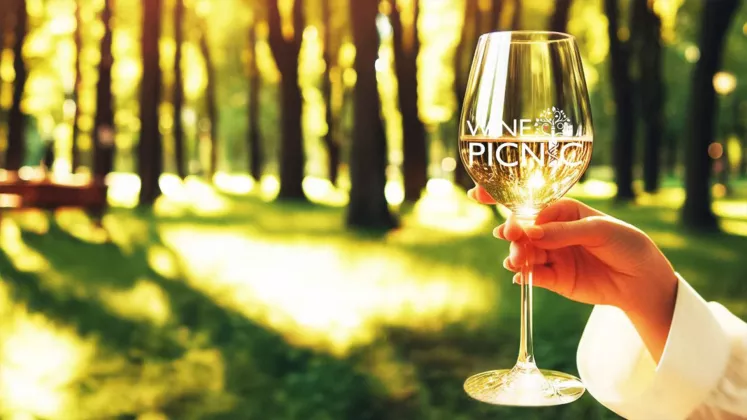 WINE PICNIC 2024