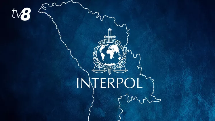 Interpol