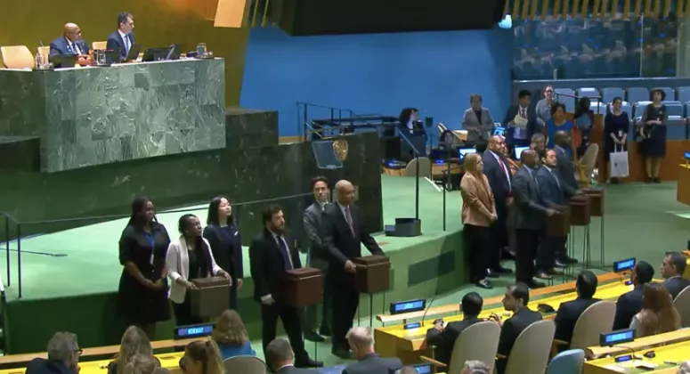 onu-ag-alegeri-unsc-tw1