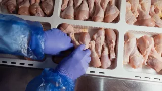 Запрет на импорт куриного мяса из Украины в Молдову: производители и импортёры не согласны с решением