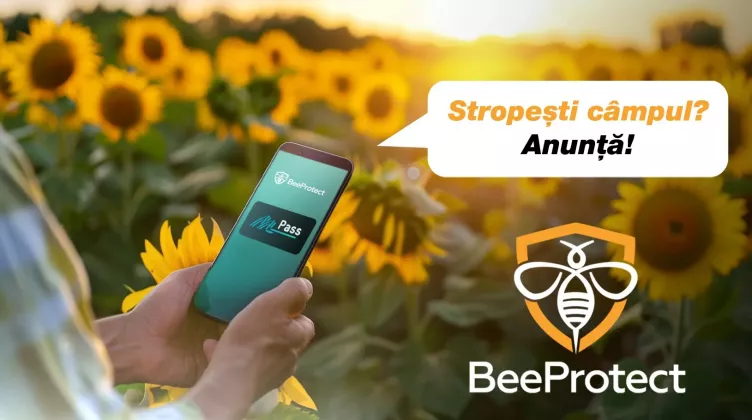 bee protect