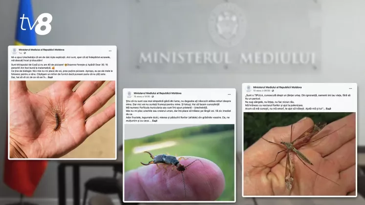 Ministerul Mediului Postări