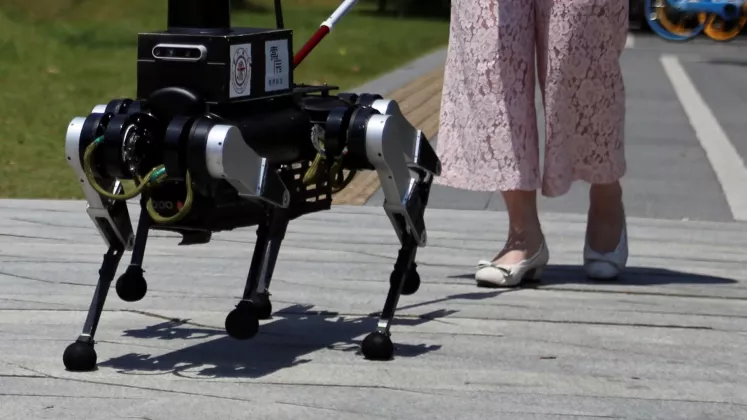 câine robot