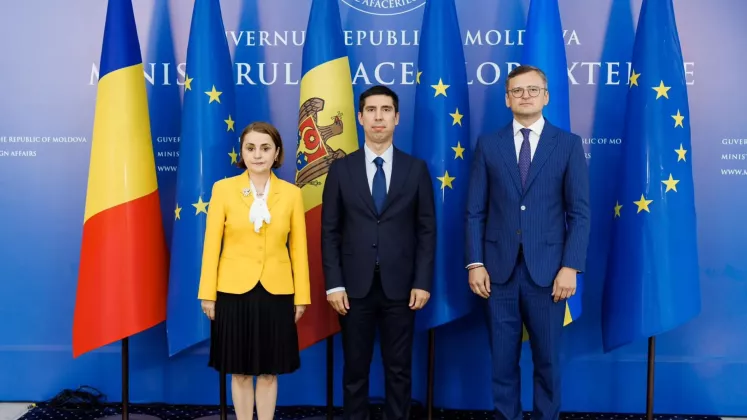 Luminița Odobescu, Mihail Popșoi, Dmitro Kuleba