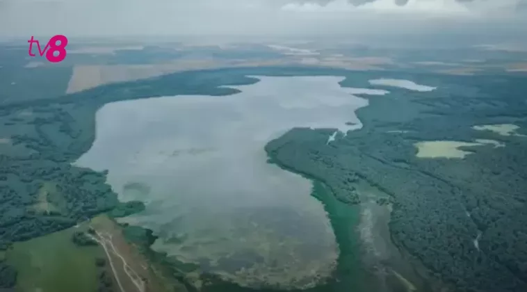 белеу1