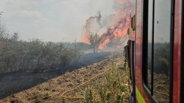 INCENDIU CAHUL 2