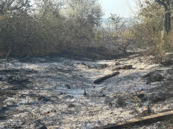 пожаркагул