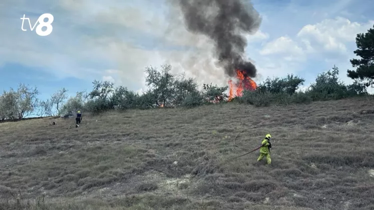 incendi nord