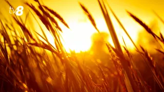 /HARTĂ/ Alertă de caniculă în Moldova: Regiunile unde se așteaptă +35°C timp de trei zile