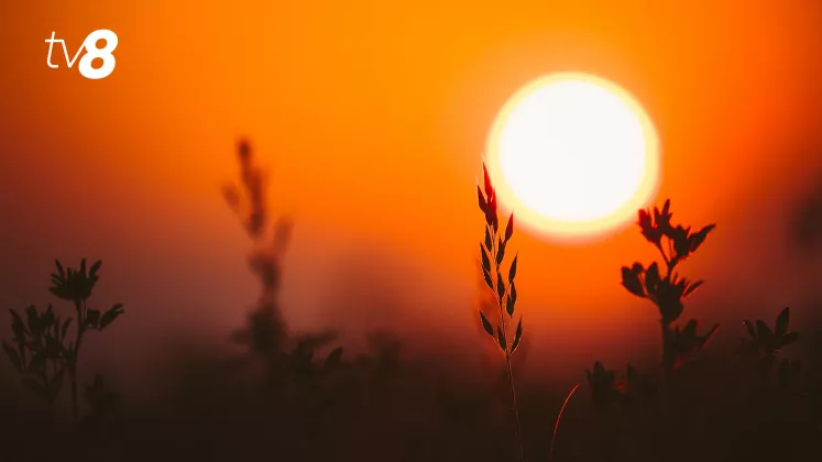 canicula meteo cod roșu soare