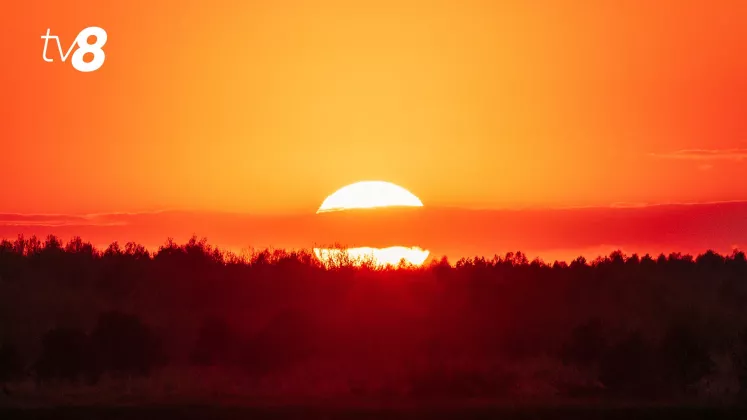 canicula meteo cod galben