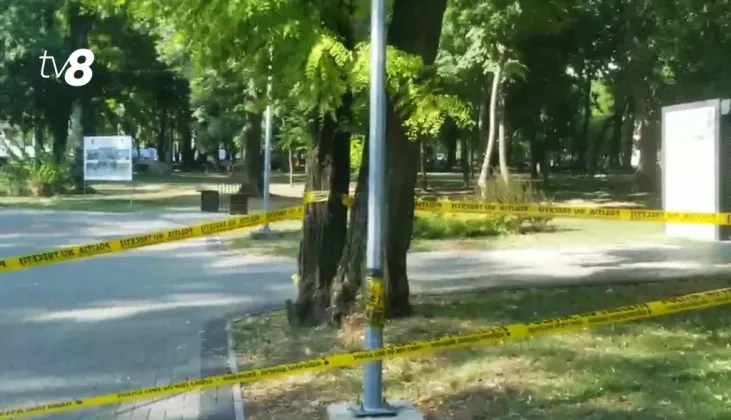 parc copii electrocutati