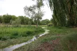 Уровень рек в Молдове остается низким: граждан призывают экономить воду
