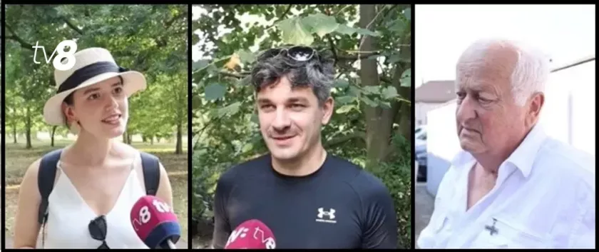 румыния воксы