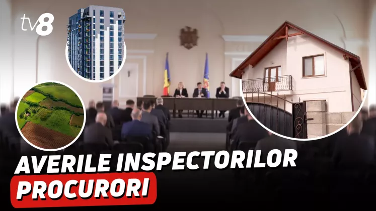inspectia carton