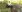 /VIDEO/ Doi urși panda uriași, aduși la zoo din San Diego, au fost expuși pentru vizitatori. „Toată lumea este obsedată de panda”