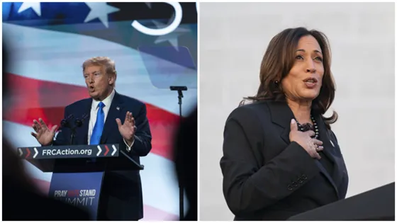 trump-harris