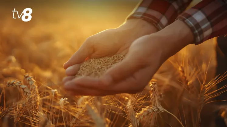 agricultura grau 1