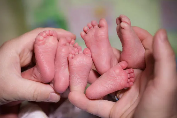 istockphoto-870034678-612x612