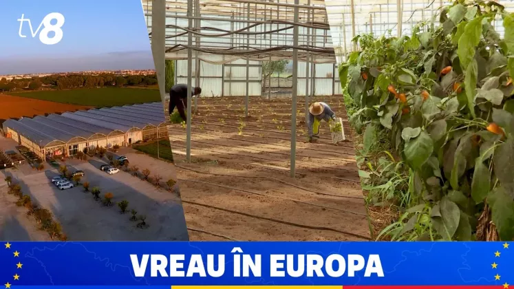 ÎNTREPRINDERE AGRICOLĂ vreau in europa