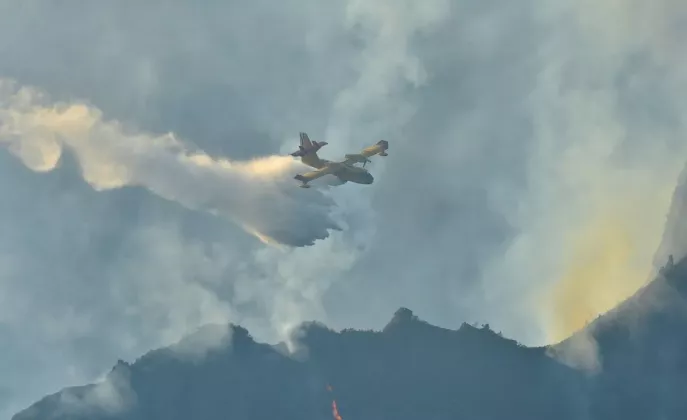 incendiu madeira