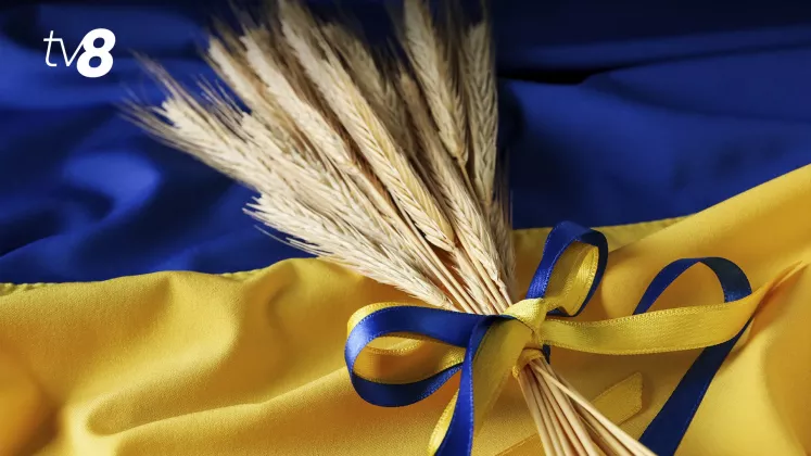 flag ucraina grau