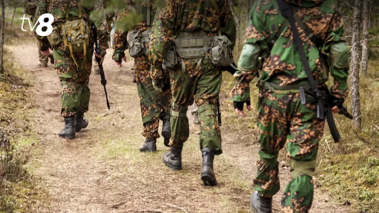 soldat padure razboi 2