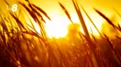 /ВИДЕО/ В Молдову пришла жара, в понедельник ожидается до +41°C: рекомендации в жаркую погоду