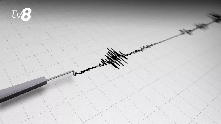 seismologie grafic meteo cutremur