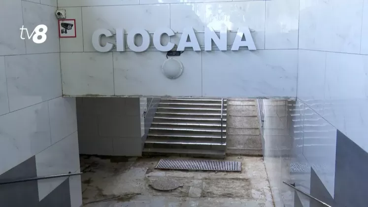 UBTERANĂ CIOCANA.
