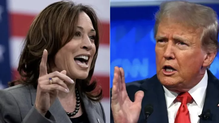 trump harris