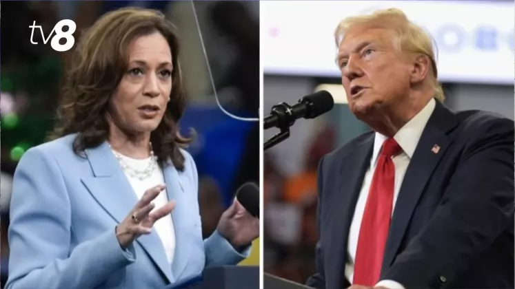 trump harris