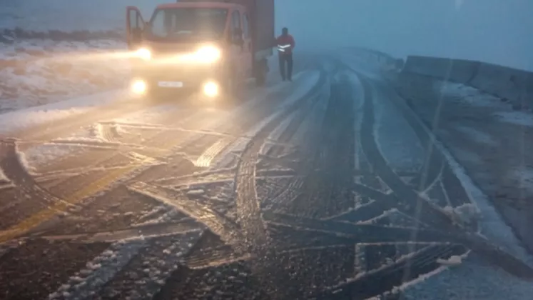 Transalpina ninsoare