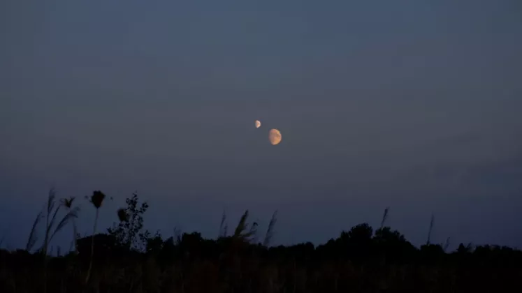 două luni