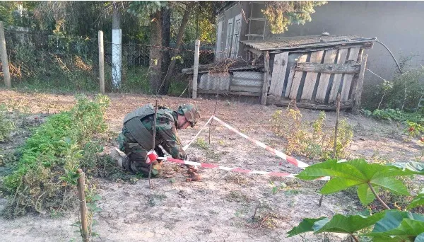 bomba 1