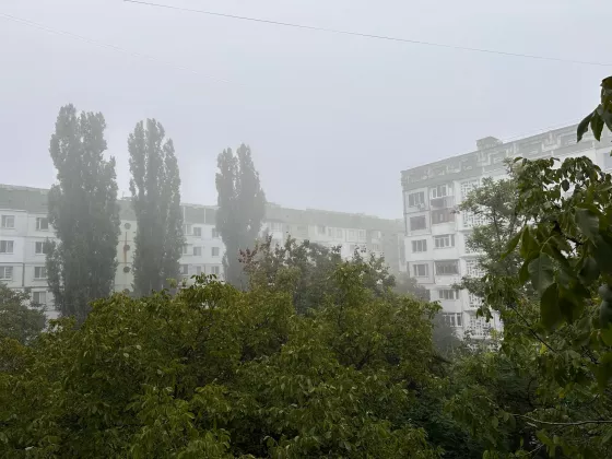 туман