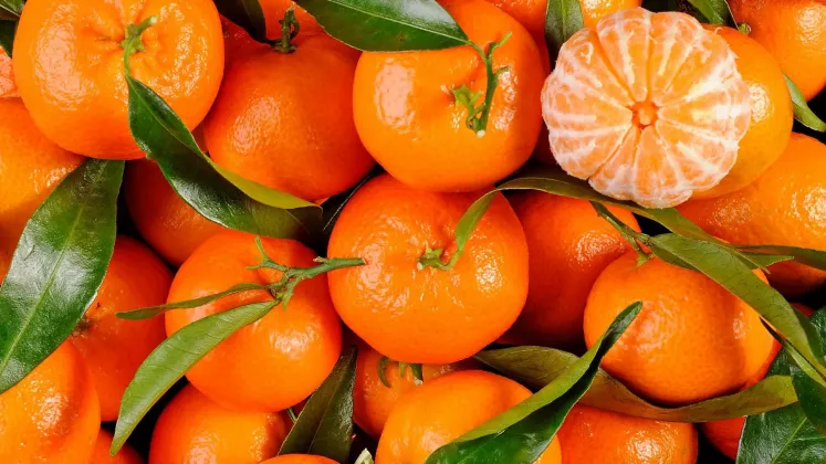 mandarine