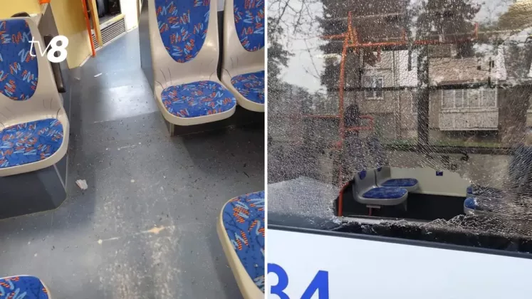 Дизайн без названия (1)